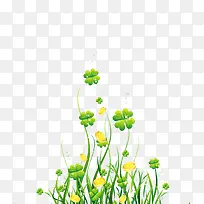 ÂÌÉ«ËÄÒ¶²Ý-¿ÕÈôÍø ÂÌÉ«ËÄÒ¶²Ý-¿ÕÈôÍø