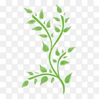 漂亮的枝叶-空若网 漂亮的枝叶-空若网