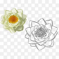 �ֻ�����-������