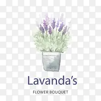 ����ɫ޹�²ݵ��̱�־-������