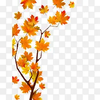 �����Ҷ�����-������