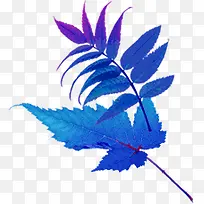 水彩叶子-空若网 水彩叶子-空若网