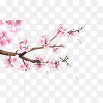 �λ���֦÷��-������