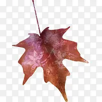 花卉设计素材手绘花草素材-空若网 花卉设计素材手绘花草素材-空若网