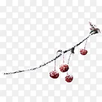 创意花草图片装饰图片-空若网 创意花草图片装饰图片-空若网