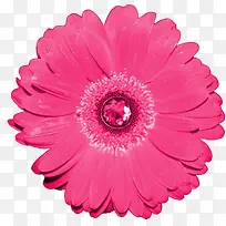 ����ps�زĻ����ز�-������