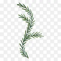 花卉设计素材花草素材-空若网 花卉设计素材花草素材-空若网