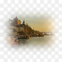 庆典花卉绿植花卉-空若网 庆典花卉绿植花卉-空若网