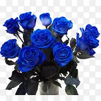 ���ݻ�ֲ�ﻨ���ز�-������