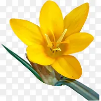 ���ܱ����زĻ���ͼ��-������