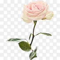 装饰素材装饰-空若网 装饰素材装饰-空若网