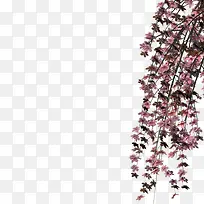 水彩花草花草背景素材-空若网 水彩花草花草背景素材-空若网