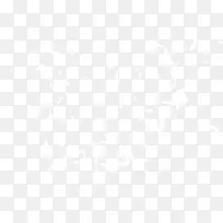 白色羽毛-空若网 白色羽毛-空若网