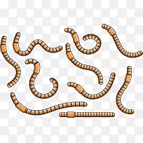 鱼饵蚯蚓矢量图-空若网 鱼饵蚯蚓矢量图-空若网