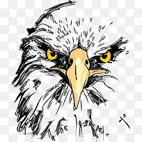 矢量猫头鹰-空若网 矢量猫头鹰-空若网