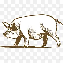 �ֻ����������͸��png-������