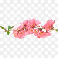 ÏßÌõ±³¾°ËزÄÏßÌõ»¨ÎÆËØ²Ä ¾«-¿ÕÈôÍø ÏßÌõ±³¾°ËزÄÏßÌõ»¨ÎÆËØ²Ä ¾«-¿ÕÈôÍø