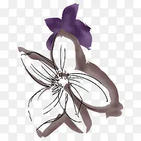 �滭�����ֻ滨��-������