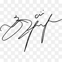 数字签名-空若网 数字签名-空若网