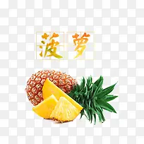 产品实物菠萝-空若网 产品实物菠萝-空若网