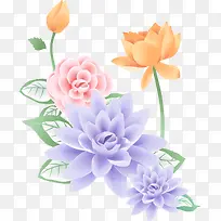 手绘荷花-空若网 手绘荷花-空若网