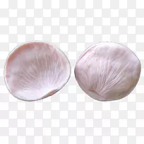 皮花瓣餐具.玫瑰花瓣-空若网 皮花瓣餐具.玫瑰花瓣-空若网