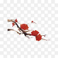 一枝红花-空若网 一枝红花-空若网