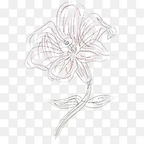 Ë®²Ê»°ÙºÏ»¨Ê¸Á¿Í¼-¿ÕÈôÍø Ë®²Ê»°ÙºÏ»¨Ê¸Á¿Í¼-¿ÕÈôÍø