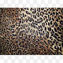 豹纹背景底纹-空若网 豹纹背景底纹-空若网