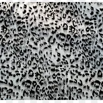 ���Ʊ�������-������