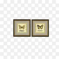 �����걾-������