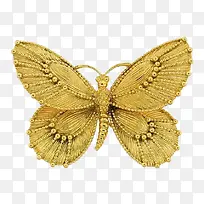 ��ɫ�����걾-������