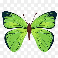 绿色的蝴蝶昆虫设计-空若网 绿色的蝴蝶昆虫设计-空若网
