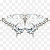 �ֻ��ɫ����-������