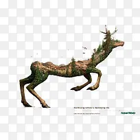 创意树木-空若网 创意树木-空若网