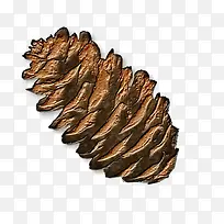 ËɹûËØ²Ä-¿ÕÈôÍø ËɹûËØ²Ä-¿ÕÈôÍø