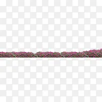 花园鲜花素材-空若网 花园鲜花素材-空若网