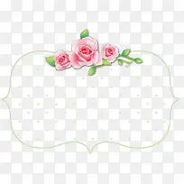 ����߿�-������