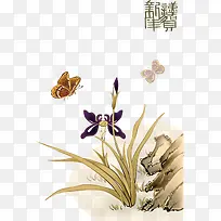 ¹ú»»¨²Ý-¿ÕÈôÍø ¹ú»»¨²Ý-¿ÕÈôÍø