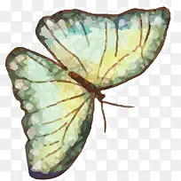 ����ʸ��-������