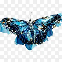 ´´ÒâºûµûË®²Ê»-¿ÕÈôÍø ´´ÒâºûµûË®²Ê»-¿ÕÈôÍø