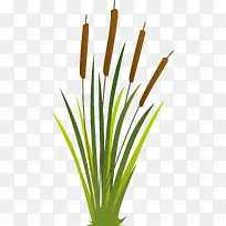 绿色芦苇植物小草-空若网 绿色芦苇植物小草-空若网