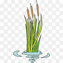 ������ɫ��ͨ«έ-������