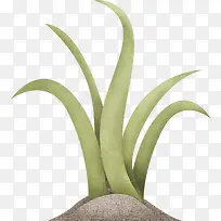 小草图片素材-空若网 小草图片素材-空若网