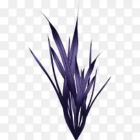 草-空若网 草-空若网