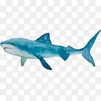 �ֻ溣���������-������