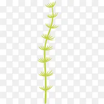 ��ɫϸ�����ݿ�ͨ�廭-������