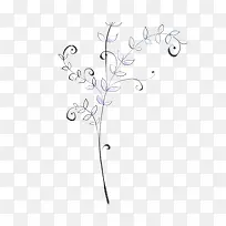 �ֻ滨֦-������