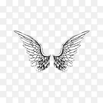 黑白手绘翅膀-空若网 黑白手绘翅膀-空若网