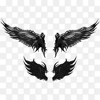 黑色翅膀-空若网 黑色翅膀-空若网